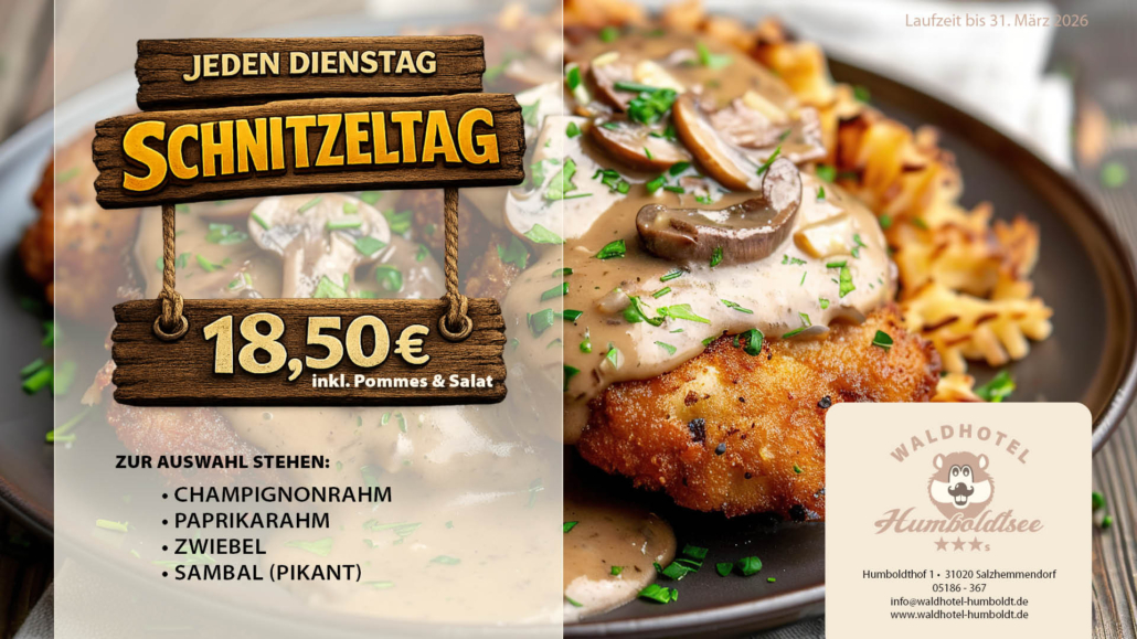 Currywurst_Schnitzel_Fernseher2